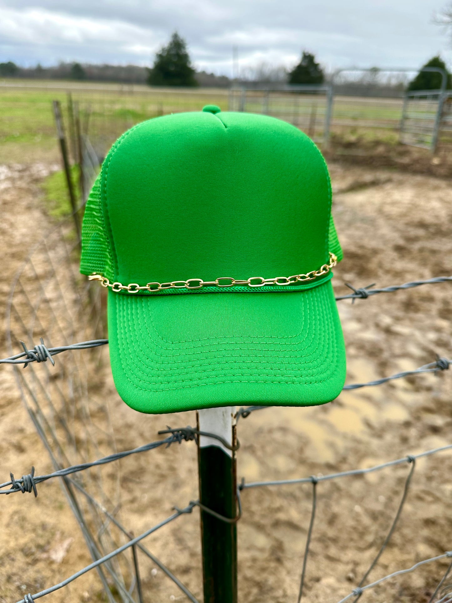 Gold Paperclip Trucker Chain