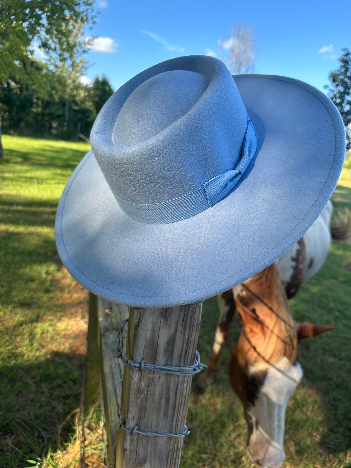 Sky Blue Oval Top