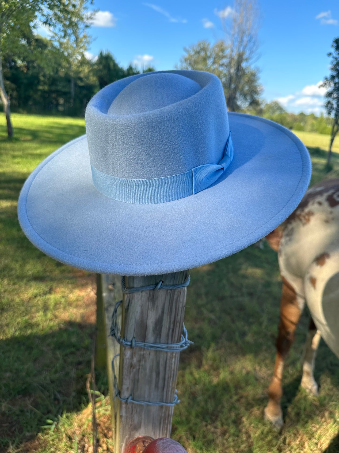 Sky Blue Oval Top